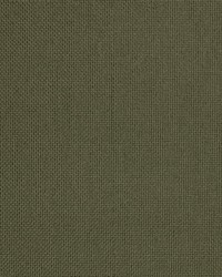 Y2260 Olive by  Koeppel Textiles 