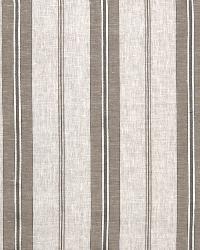 Grainy Road Dove by  Robert Allen 