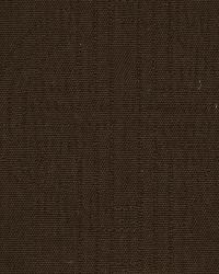 Sunninghill Mink by  Robert Allen 