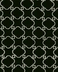 Acanthus Night Sky by   