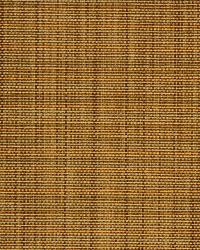 Windsor Way Zest by  Robert Allen 