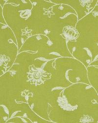 Bloom Season Kiwi by  Robert Allen 