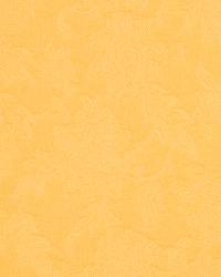 Haddington Golden by  Robert Allen 