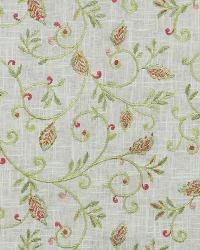 Cosmo Bloom Peony by   