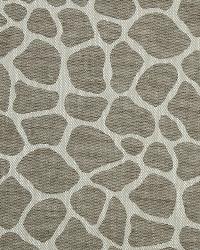 Rocky Way Driftwood by   