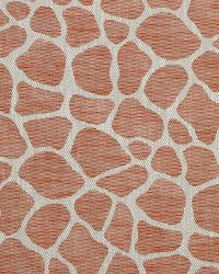 Rocky Way Tangerine by   