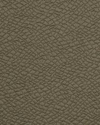 Opal Creek Truffle by  Robert Allen 