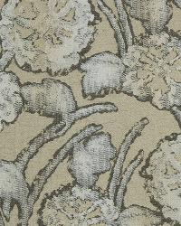 Above Clarity Pumice by  Robert Allen 