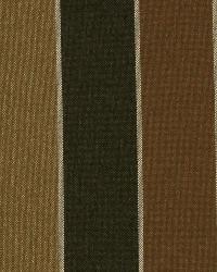 Wide Ribbons Terrain by  Robert Allen 