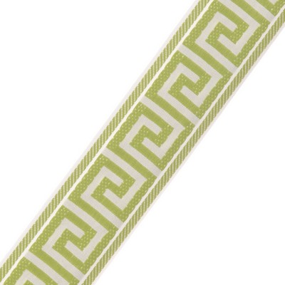 Fabricut Trim Puket Fern in FABRICUT NO SAMPLE BOOK LOADED Green Solution  Blend Green Trims  Trim Border  Fabric