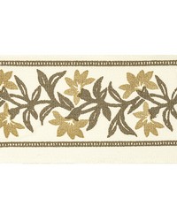 Ansonia Tape 6 Chestnut ANSO-6 by   