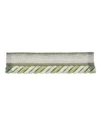 Curtis Lipcord 6 Spring by  Roth and Tompkins Textiles 