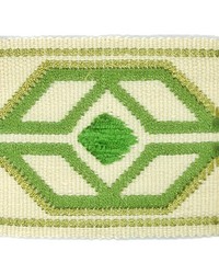 Dermotte Tape 4 Spring DERM-4 by   