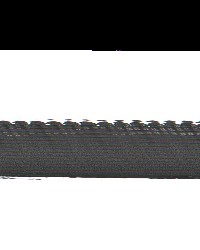 Devlin Brush Fringe 7 Pearl DEVL-7 by   