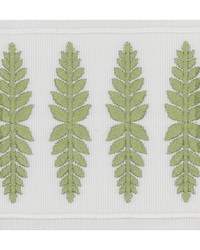 Kailua Tape 3 Moss KAIL-3 by   