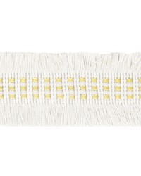 Racine Tape 2 Champagne RACI-2 by   