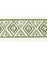 Shenandoah Tape 4 Clover SHEN-4 by   