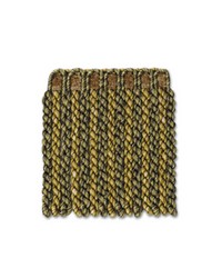 Library Bul Sm Bonsai by  Robert Allen Trim 