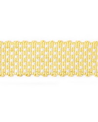 78047H 779 DAFFODIL by   