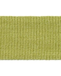 78086H 399 PISTACHIO by   