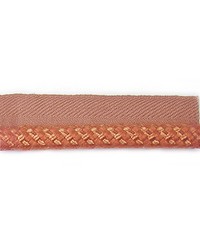 78055H 35 TANGERINE by   