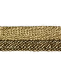 DT61297 354 BASIL by   