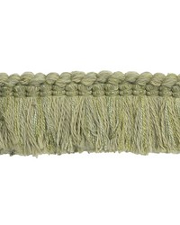 DT61748 597 GRASS by  Phifer Sheerweave 