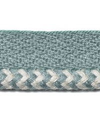 7318 19 Aqua by  Duralee Trim 