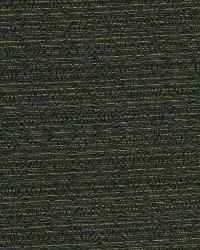 Fractal Midnight by  Robert Allen 