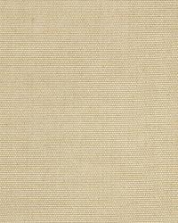 Open Prairie Straw by  Robert Allen 