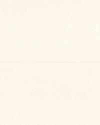 Bishop Stripe Creme by   