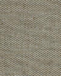 Glimmer Spots Silver by  Robert Allen 