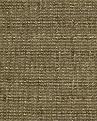 Glimmer Spots Antique Gold by  Robert Allen 