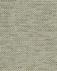 Canvas Sheen Linen by  Robert Allen 