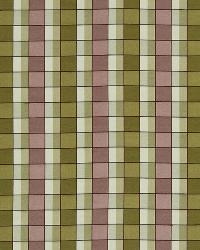 Oxford Circus Hyacinth by   