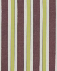 Charming View Hyacinth by  Robert Allen 