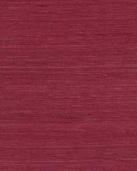 Behnaz Azalea by  Robert Allen 