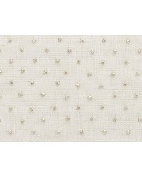 Northern Lights Tape Ivory by  Schumacher Trim 