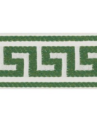 Ganton Tape Green by  Schumacher Trim 