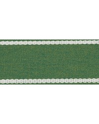 Sullivan Tape Green by  Schumacher Trim 