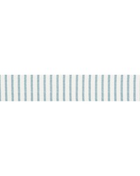 Salton Tape Sky by  Schumacher Trim 