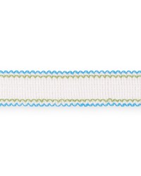 Filippa Tape Aqua by  Schumacher Trim 