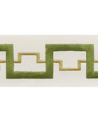 Turret Tape Leaf by  Schumacher Trim 