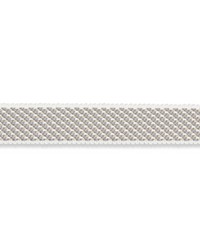 Winston Cotton Braid Narrow Charcoal by  Schumacher Trim 