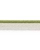 Schumacher Trim COLEMAN LIP CORD LeaF