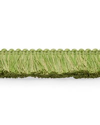 Meyer Brush Fringe LeaF by   