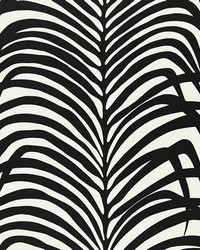 Zebra Palm Ebony by  Schumacher Wallpaper 