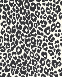 Iconic Leopard Graphite by  Schumacher Wallpaper 