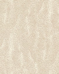 Drizzle Natural by  Schumacher Wallpaper 