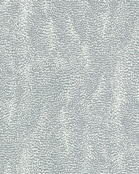Drizzle Dove by  Schumacher Wallpaper 